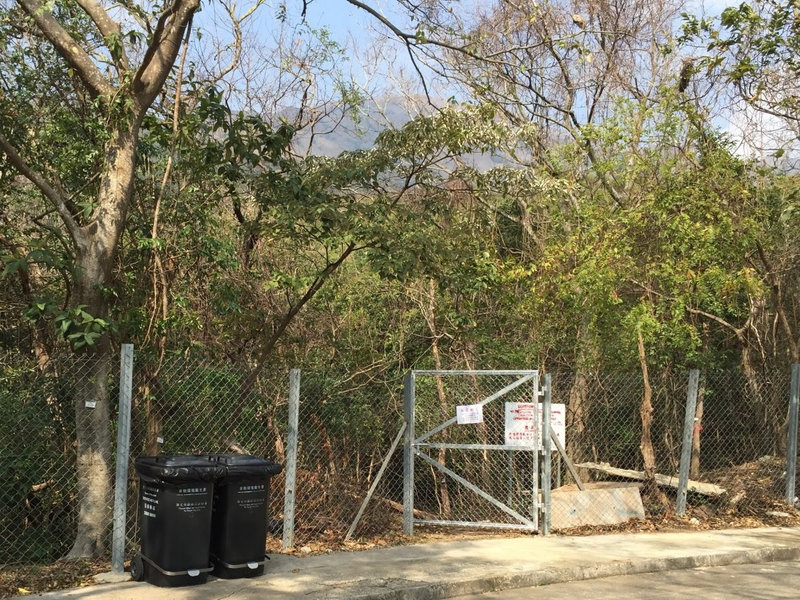 Lower Cheung Sha Wan